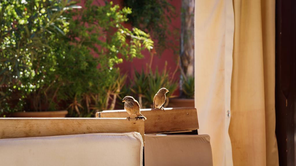 Riad Honey Marrakesh Eksteriør billede